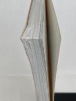 准高級漢語口語 上冊(中国語) 北京大学出版社 蔡 雲凌