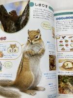 みぢかないきもの 改訂新版 (体験を広げるこどものずかん 3) ひかりのくに