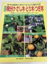 株分け・さし木・とり木・つぎ木 改訂版 (ブティック・ムック No.) ブティック社