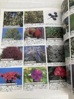 株分け・さし木・とり木・つぎ木 改訂版 (ブティック・ムック No.) ブティック社