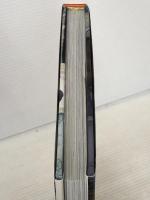 Anjum's Indian Vegetarian Feast: Fabulous Fresh Indian Food Quadrille Publishing Ltd Anand, Anjum