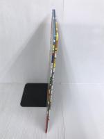 ※イタミ有。Santa on the Loose!: A Seek and Solve Mystery! A Christmas Holiday Book for Kids HarperCollins Hale, Bruce