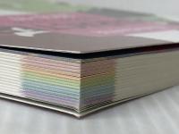 キャラクターファイル 2016-17 (玄光社MOOK illustration FILE) 玄光社 イラストレーション編集部