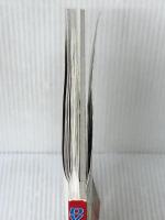 世界のクワガタムシ・カブトムシ完全百科: DVDがすごい (SEIBIDO MOOK) 成美堂出版 成美堂出版編集部