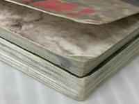 世界のクワガタムシ・カブトムシ完全百科: DVDがすごい (SEIBIDO MOOK) 成美堂出版 成美堂出版編集部