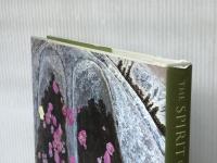 The Spirit of Yoga Barrons Educational Series Inc Phillips, Kathy