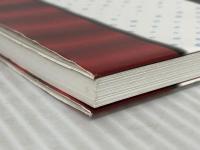 ウチの姫さまがいちばんカワイイ ビジュアルブック KADOKAWA