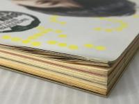 MUSICA (ムジカ) 2013年 02月号 [雑誌] バウンディ株式会社