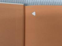 はまゆり写真機店 (わくわくBOOKS) 教育画劇 茂市 久美子