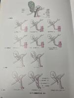 消化器外科手術のための解剖学 -小腸・大腸,肛門部疾患,肝臓・胆嚢・胆道系,膵臓・脾臓 メジカルビュー社 正紀, 松野