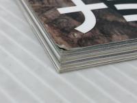 ビバリウムガイド NO.56 2012年 03月号 [雑誌] エムピー・ジェー