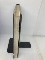 Design and Evolution - The Story (v. 2) (The Beetle: The Chronicles of the People's Car) G T Foulis & Co Ltd Etzold