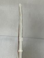 レジデント 2013年5月号 特集:外傷救急における画像診断と治療 医学出版 横田順一朗