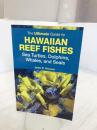 The Ultimate Guide to Hawaiian Reef Fishes: Sea Turtles, Dolphins, Whales, and Seals