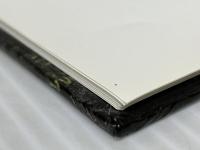 I Spy Year-round Challenger!: A Book of Picture Riddles Cartwheel Books Marzollo, Jean