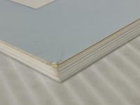 炎症と免疫 (vol.30 no.2(2022年3月号)) 先端医学社 「炎症と免疫」編集委員会