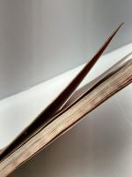 【※イタミあり】フェルトの小もの集: てるみのなんでもかんでも作っちゃおう　 雄鶏社 　大高 輝美