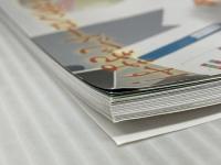 ダイヤモンド・チェーンストア 2021年7月1日号 特集●決算2021ランキング ダイヤモンド・リテイルメディア