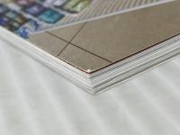 ダイヤモンド・チェーンストア 2021年6月1日号 特集●コンビニ作り直し! ダイヤモンド・リテイルメディア