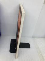 一目でわかる解剖学 メディカルサイエンスインターナショナル OMAR FAIZ