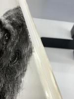 Dessin:デッサン　 Guide Book   一艸堂   河村 栄一　ISSODO