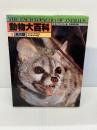 動物大百科 1 食肉類　 平凡社 　D.W.マクドナルド