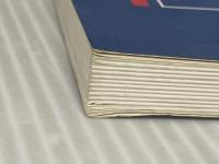 世界のボーイスカウト運動