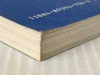 世界のボーイスカウト運動