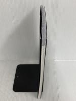 ヘマトロジー1 血液学からみるがん免疫療法の新時代 クリニコ出版 小松則夫