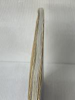 クジラが見る夢: ジャック・マイヨールとの海の日々 テレコムスタッフ 夏樹, 池澤