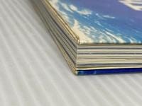 クジラが見る夢: ジャック・マイヨールとの海の日々 テレコムスタッフ 夏樹, 池澤