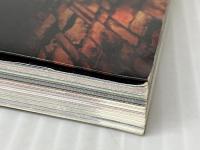 サムライスピリッツ斬紅郎無双剣: 究極趣味草紙 (ファミ通ファンブック) アスペクト