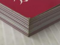 小論文の書き方 マイナビ出版 マイナビ進学編集部