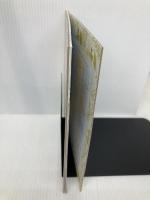 Aladdin (Disney Aladdin) (Little Golden Book) by Karen Kreider(2015-07-28)