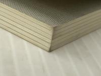 自然なカラダを取り戻す　調律健康法 ギャラクシーブックス 川端　翔太