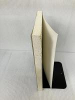 Formal Models of Domestic Politics (Analytical Methods for Social Research)