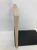 パソコン・ソフトハレー慧星のすべて 朝日新聞出版 中野 主一