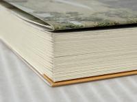 子どもの安全とリスク・コミュニケーション (関西大学経済・政治研究所研究双書 第 159冊) 関西大学出版部