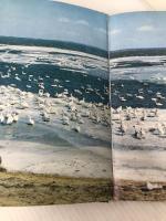 カラー北海道 (1968年) (山渓カラーガイド) 山と渓谷社 栗谷川 健一