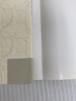 本物の幼児教育とは ピグマリオン 伊藤 恭