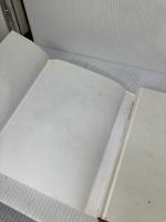 アーサー王物語伝説魔術師マーリンの夢 原書房 ピーター ディキンスン