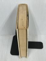 ディラン、風を歌う　 晶文社 　マイケル グレイ　