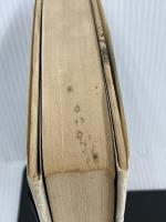 ディラン、風を歌う　 晶文社 　マイケル グレイ　