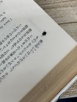 ディラン、風を歌う　 晶文社 　マイケル グレイ　