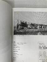 別冊歴史REAL 第一次・第二次世界大戦 戦車・戦闘機全史 (洋泉社MOOK 別冊歴史REAL) 洋泉社