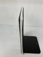 RISING ZAN攻略絵巻 (ゲーメストムック EXシリーズ Vol. 82) 新声社