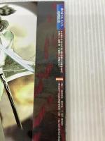 RISING ZAN攻略絵巻 (ゲーメストムック EXシリーズ Vol. 82) 新声社