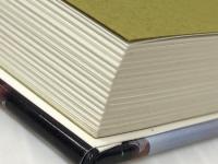 100年俳句計画: 五七五だからおもしろい! (Soenshaグリーンブックス N 3) そうえん社 夏井 いつき