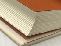 吾輩はユーモアである――漱石の誘笑パレード 岩波書店 中村 明