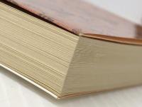 華族たちの近代 (中公文庫 あ 54-3) 中央公論新社 浅見 雅男